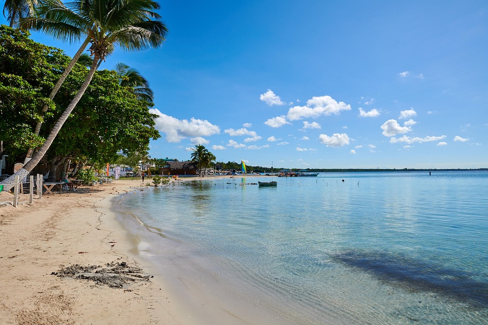 Tropicales República Dominicana - Foto gratis en Pixabay