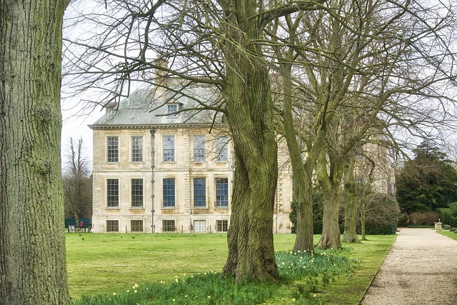 belton, estate, lincolnshire, stately, attraction, heritage, landmark, historic, tudor, elizabethan, lincolnshire, lincolnshire, lincolnshire, lincolnshire, lincolnshire, tudor, tudor, tudor, elizabethan