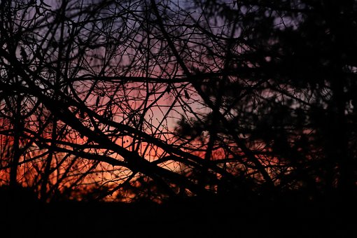 Velada, Tarde, Noche, Atardecer, Cielo