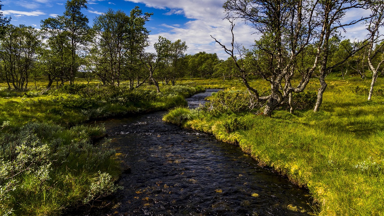 Río Cala Arroyo - Foto gratis en Pixabay - Pixabay