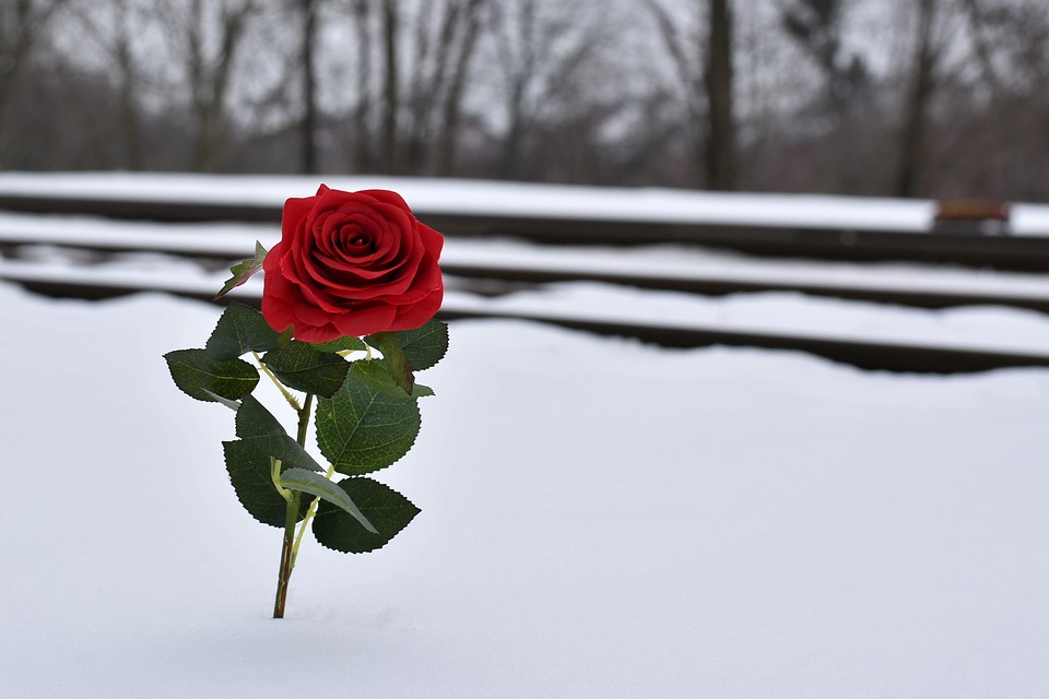 Remembering Maureen O’Connell: Funeral Details and Tribute