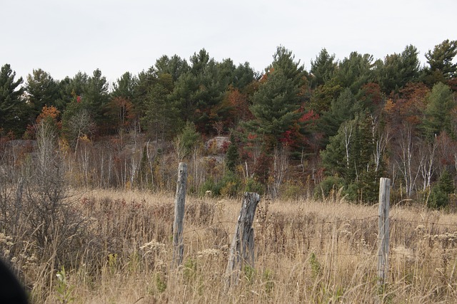 Free Field Fence photo and picture