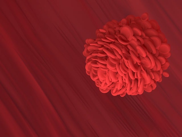 Free red blood cell blood vessel biology illustration