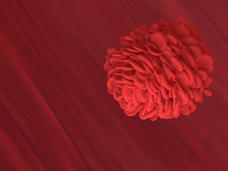 Free Red Blood Cell Blood Vessel illustration and picture