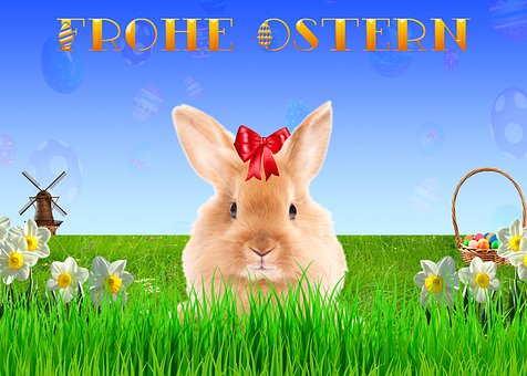 Free Easter Easter Bunny illustration and picture