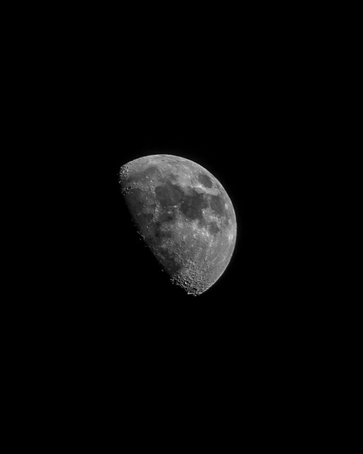 Free Moon Night photo and picture