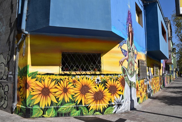 Free Santiago De Chile Chile photo and picture