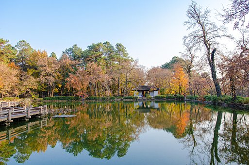 Free Suzhou Autumn photo and picture