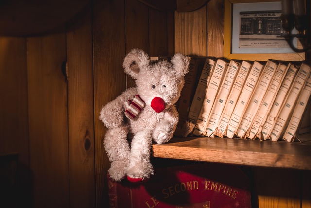 Free Bear Stuffed Toy photo and picture