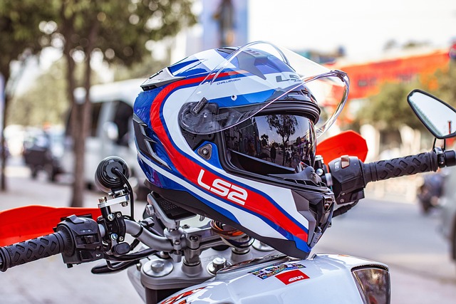 Free Motorcycle Helmets Helmets photo and picture