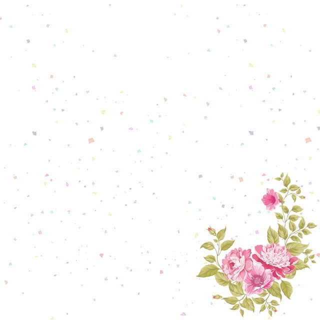 Free flower nature white illustration