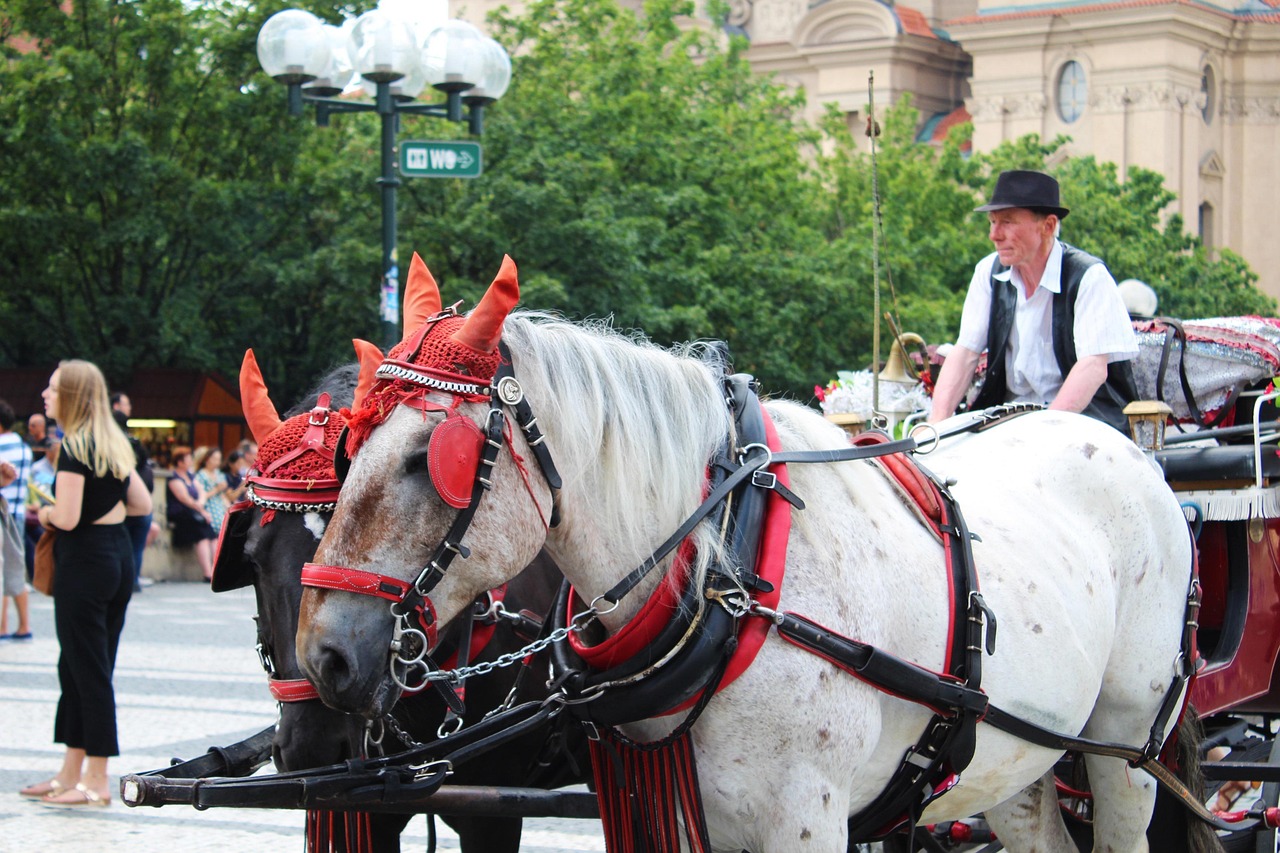 Free Prague Coach photo and picture