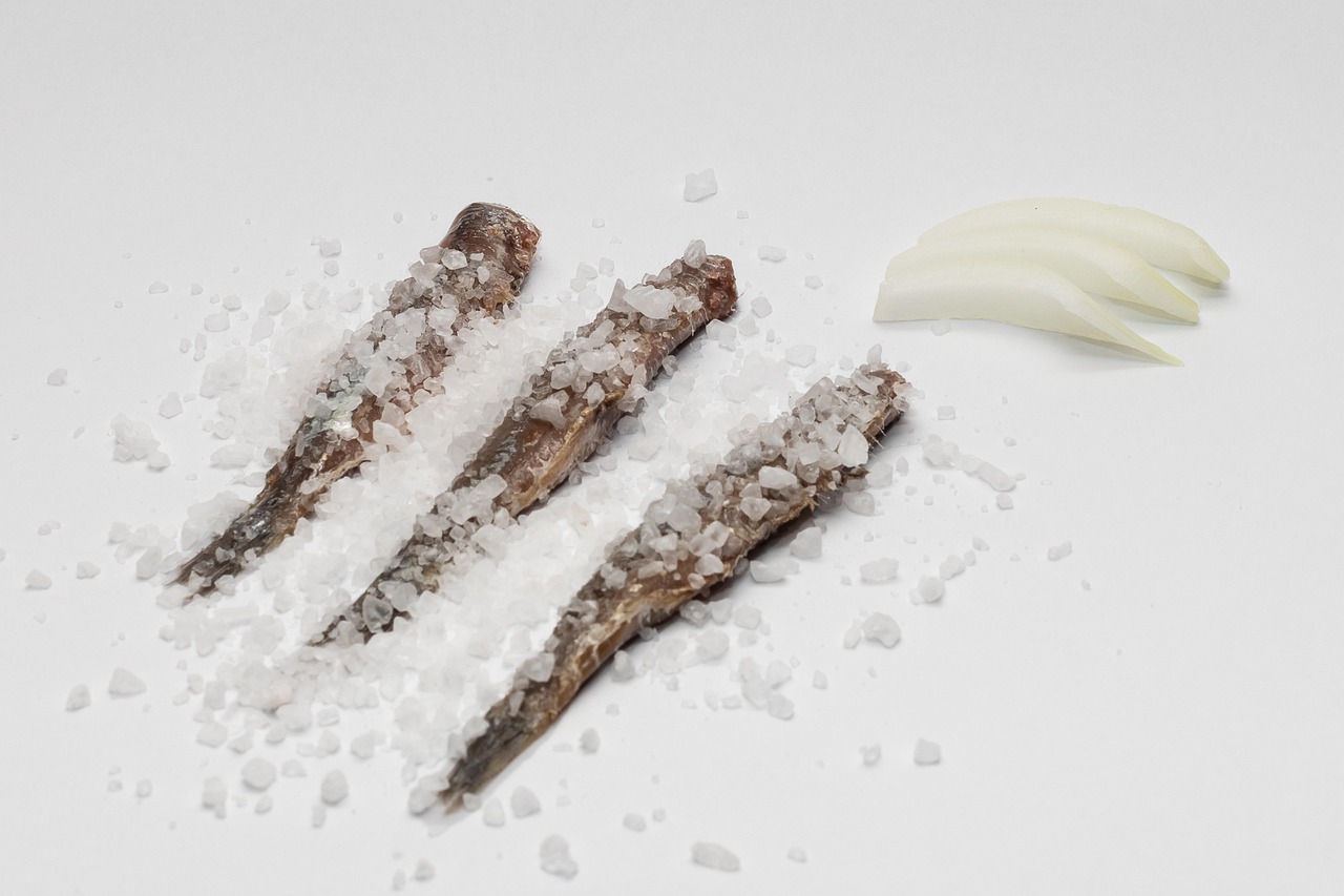 Salted Sardines Fish Salty Free photo on Pixabay