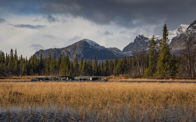 Free Autumn Landscape photo and picture