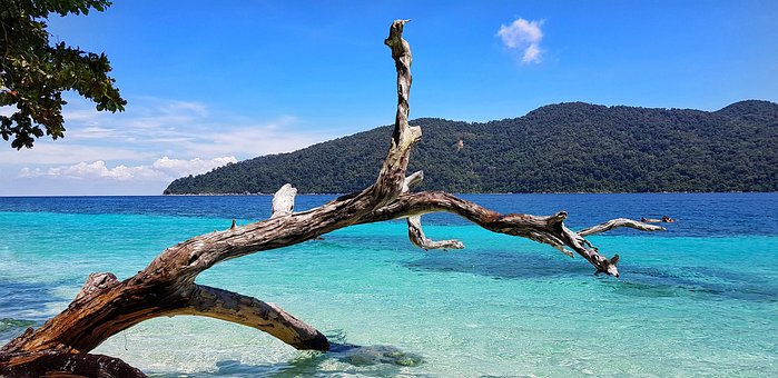 Free Beach Deadwood photo and picture