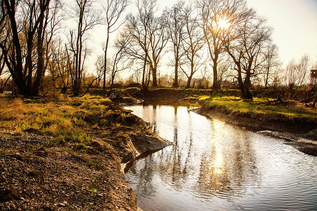 Free Water Flow photo and picture