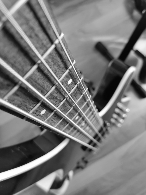 Gitaar, Bass, Akoestische Gitaar