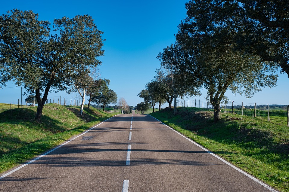 Exploring Alentejo: A Journey Through Portugal’s Quintessential Countryside