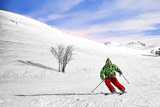Free Ski Winter photo and picture