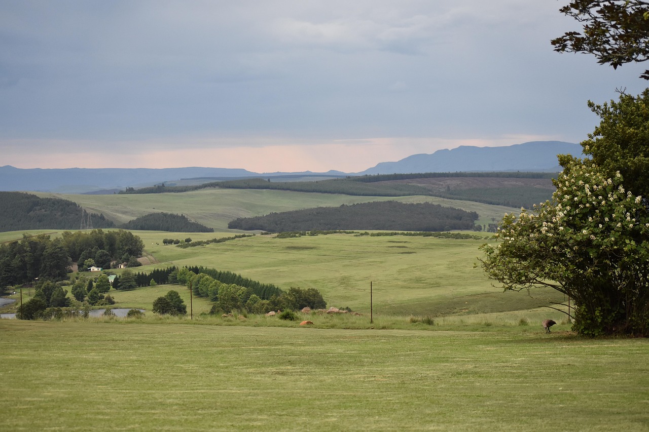 South Africa Natal Midlands View - Free photo on Pixabay - Pixabay