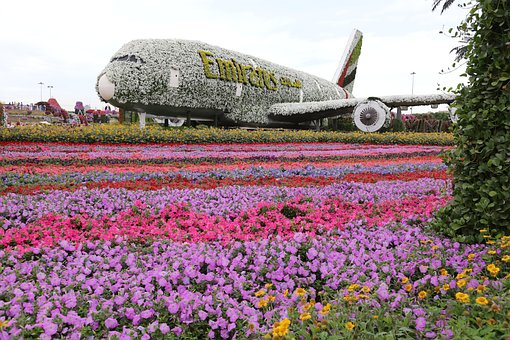 Free Miracle Garden Miracle Garden Dubai photo and picture