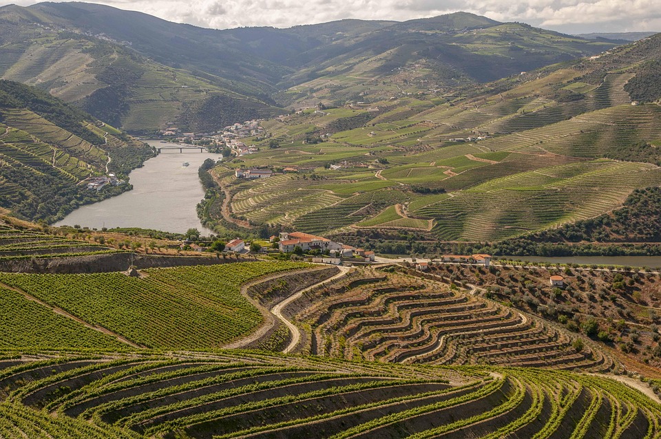 Savoring Porto: A Food Lover’s Guide to the City’s Best Eats