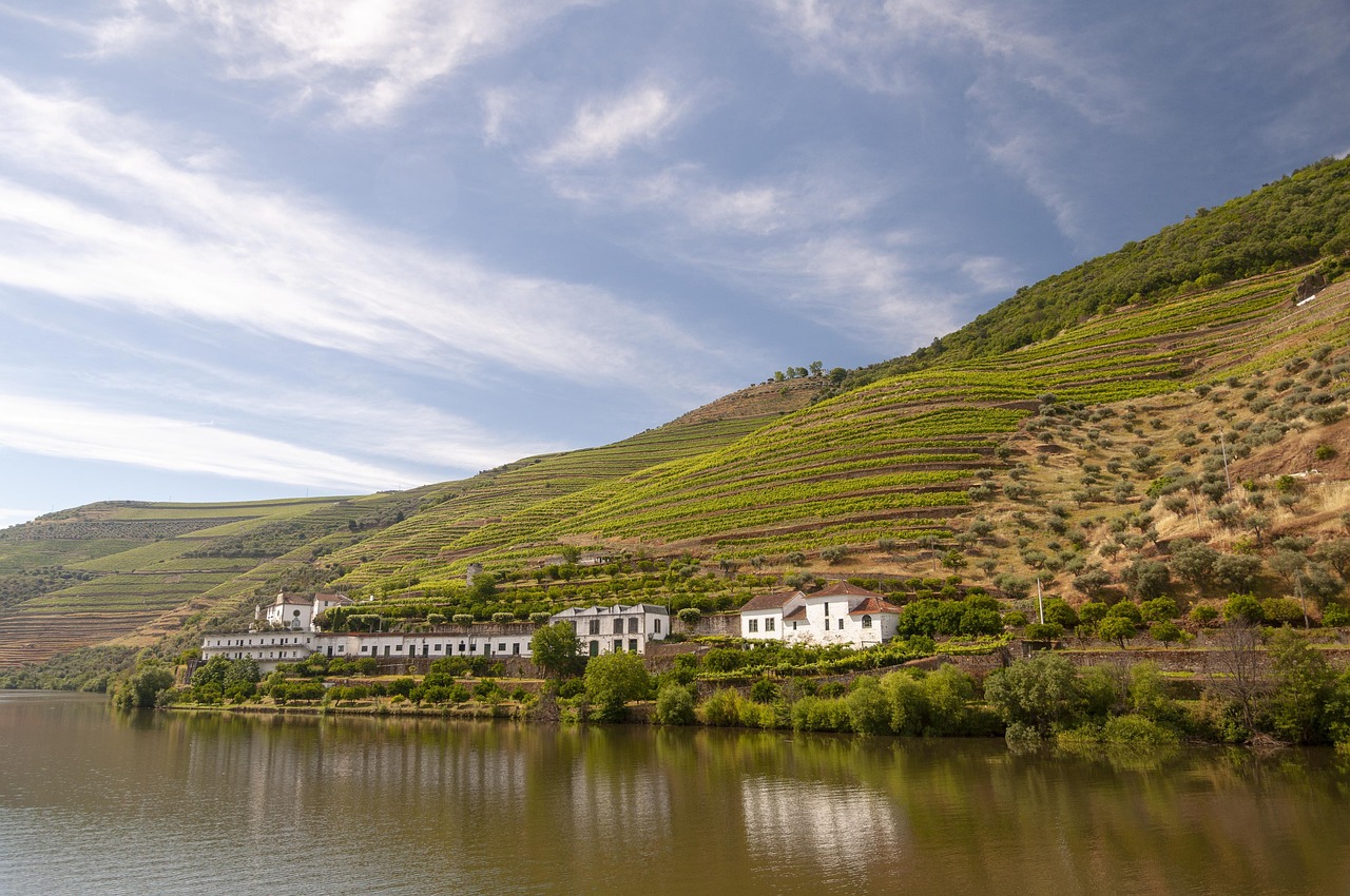 The Douro River winding through vineyard-covered hillsides in Portugal