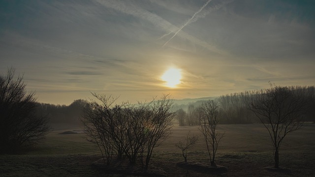 Free Sun Morning photo and picture