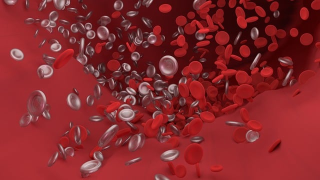 Free artery biology body illustration