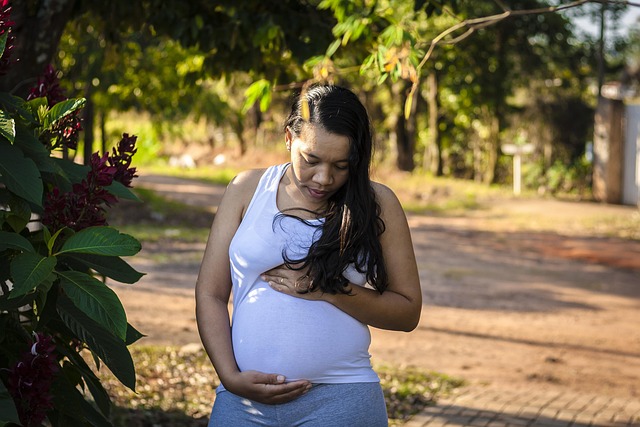 Grávida, Bebê, Gravidez, Mãe, Família