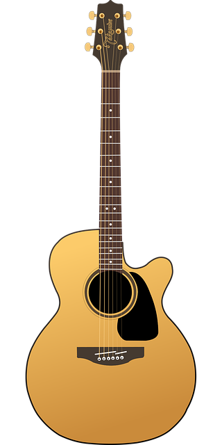 Free guitar music instrument vector