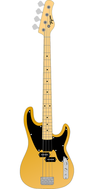 Free music instrument show vector