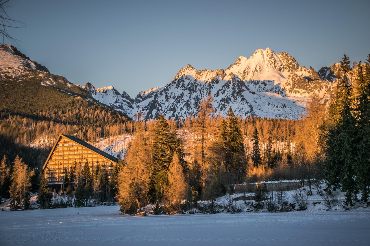 https://cdn.pixabay.com/photo/2020/01/16/16/56/mountains-4771125_1280.jpg