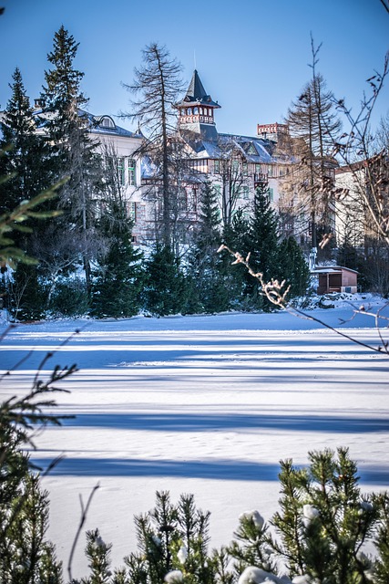 lake, winter, scenic, nature, snow, ice, hotel
