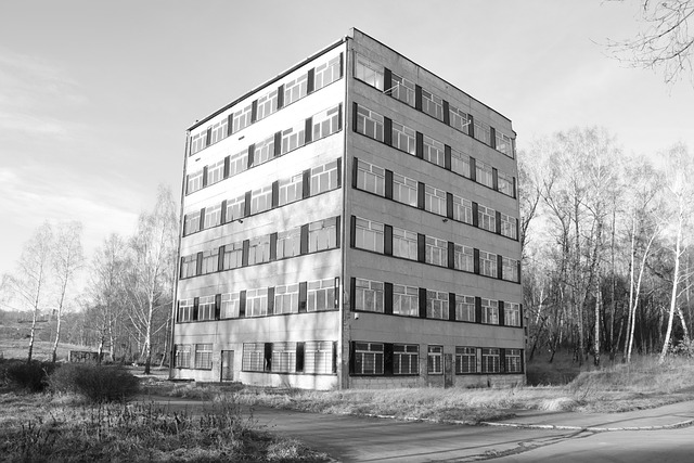 Edificio, Negro, Blanco, Ciudad