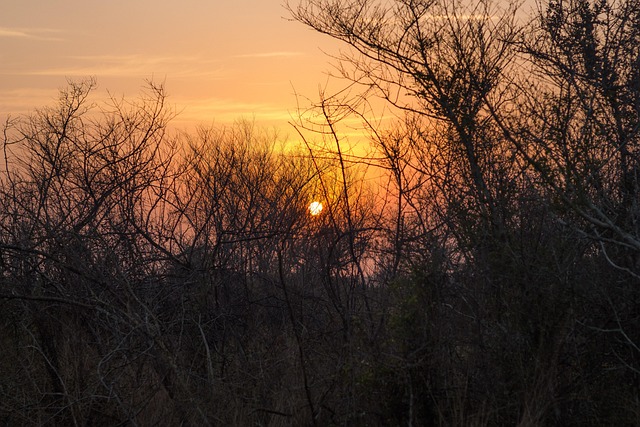 Free Sunset Sun photo and picture