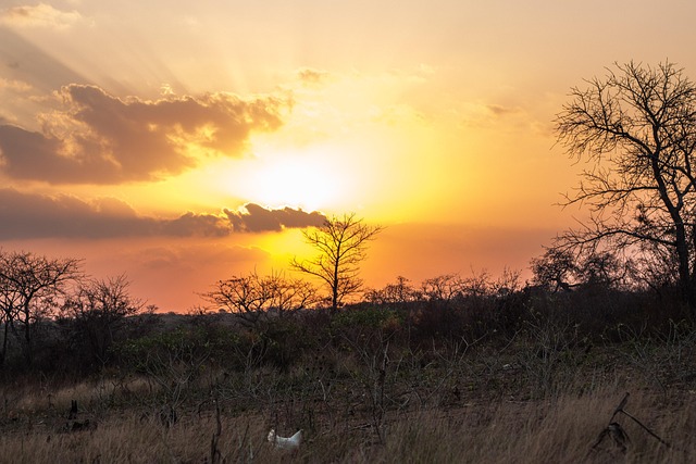Free Sunset Cloud photo and picture