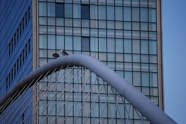 Free Bilbao Building photo and picture