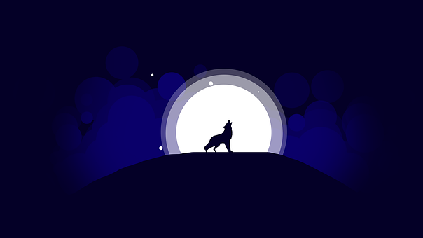 Free Wolf Picture illustration and picture