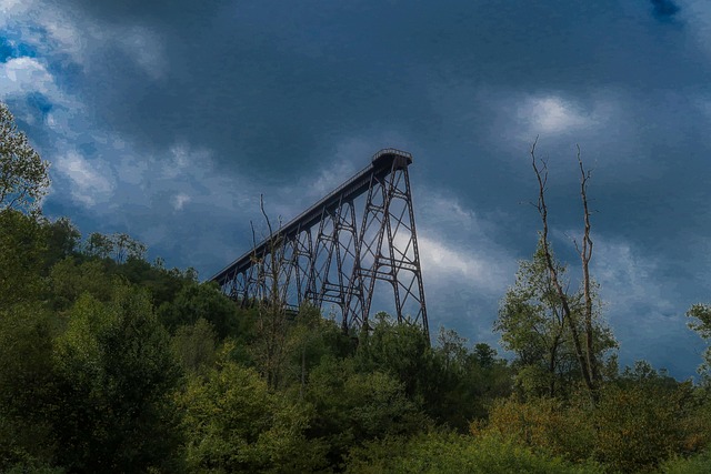 Free Railroad Bridge Forest photo and picture