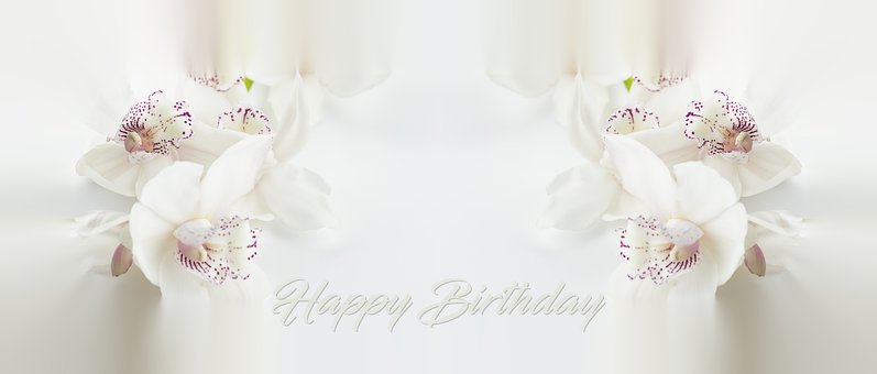 Free Date Of Birth Congratulation illustration and picture