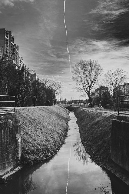 Free Black White photo and picture