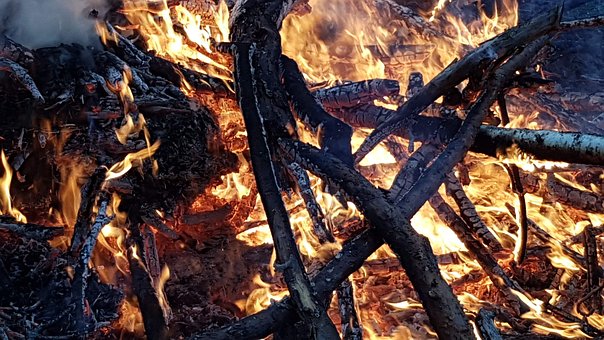 Free Fire Campfire photo and picture