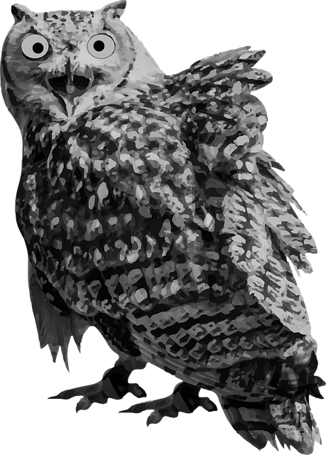 Uil, Vogels, Dier, Natuur, Ogen