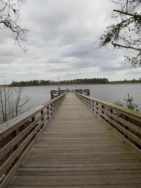 Muelle, Río, Agua, Puente, Paisaje