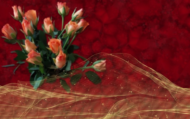 Free Washing Holiday photo and picture