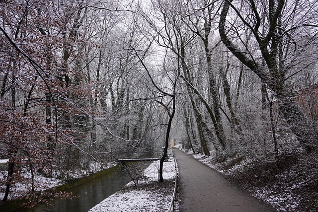 Free Winter Park photo and picture