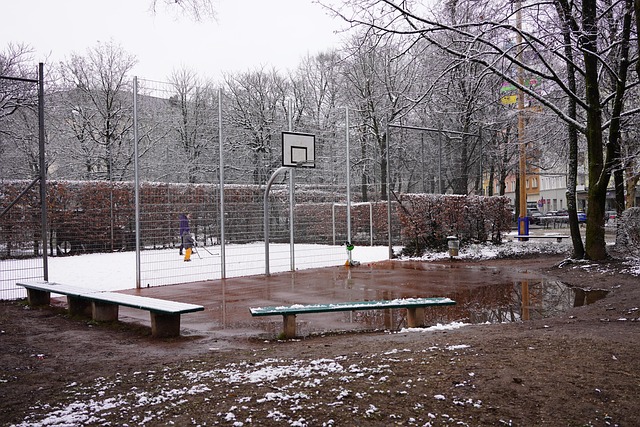 Free Cold Winter photo and picture