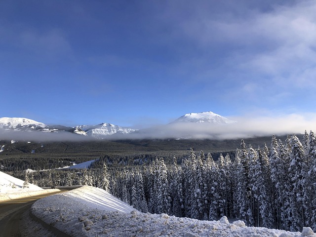 Free Mountain Snow photo and picture