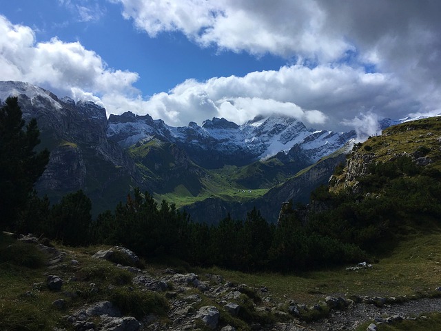 Free Switzerland Appenzeller photo and picture